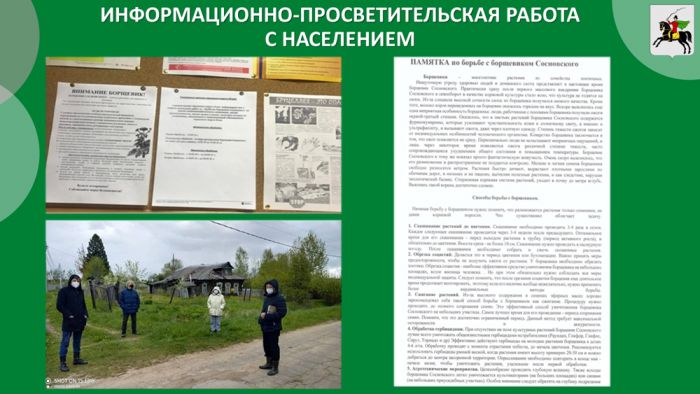 Комплексные мероприятия по уничтожению борщевика Сосновского в городском округе Клин  в 2020-2021 г.г. 