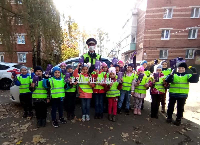 Автоинспекторы Зарайска провели акцию «Безопасный двор»