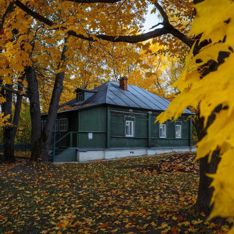 Счастливые годы детства Ф.М. Достоевский провел в подмосковном имении в Даровом @darovoe_mzk
