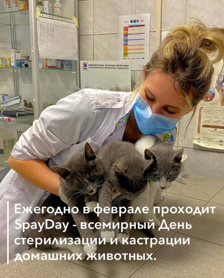 О проведении ежегодногоSpayDay- всемирного Дня стерилизации и кастрации домашних животных