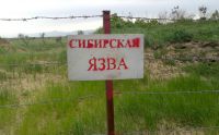 О выявлении сибирской язвы на территории Ставропольского края