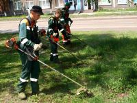 Аипова: В Подмосковье выявлено 744 нарушения при покосе травы во дворах и на общественных территориях