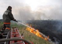 Ежегодно от пала сухой травы происходят сотни возгораний лесных насаждений по причине неосторожного обращения с огнем. 