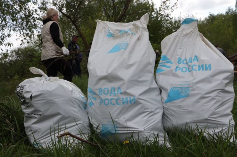 Более ста человек вышли на Всероссийскую акцию «Вода России» в Зарайске
