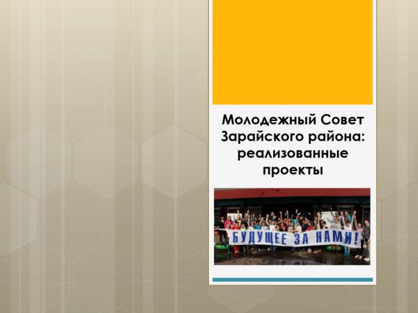 Молодежный Совет Зарайского района: реализованные проекты